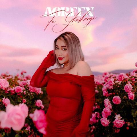 دانلود آهنگ آگرین به نام تو قشنگی